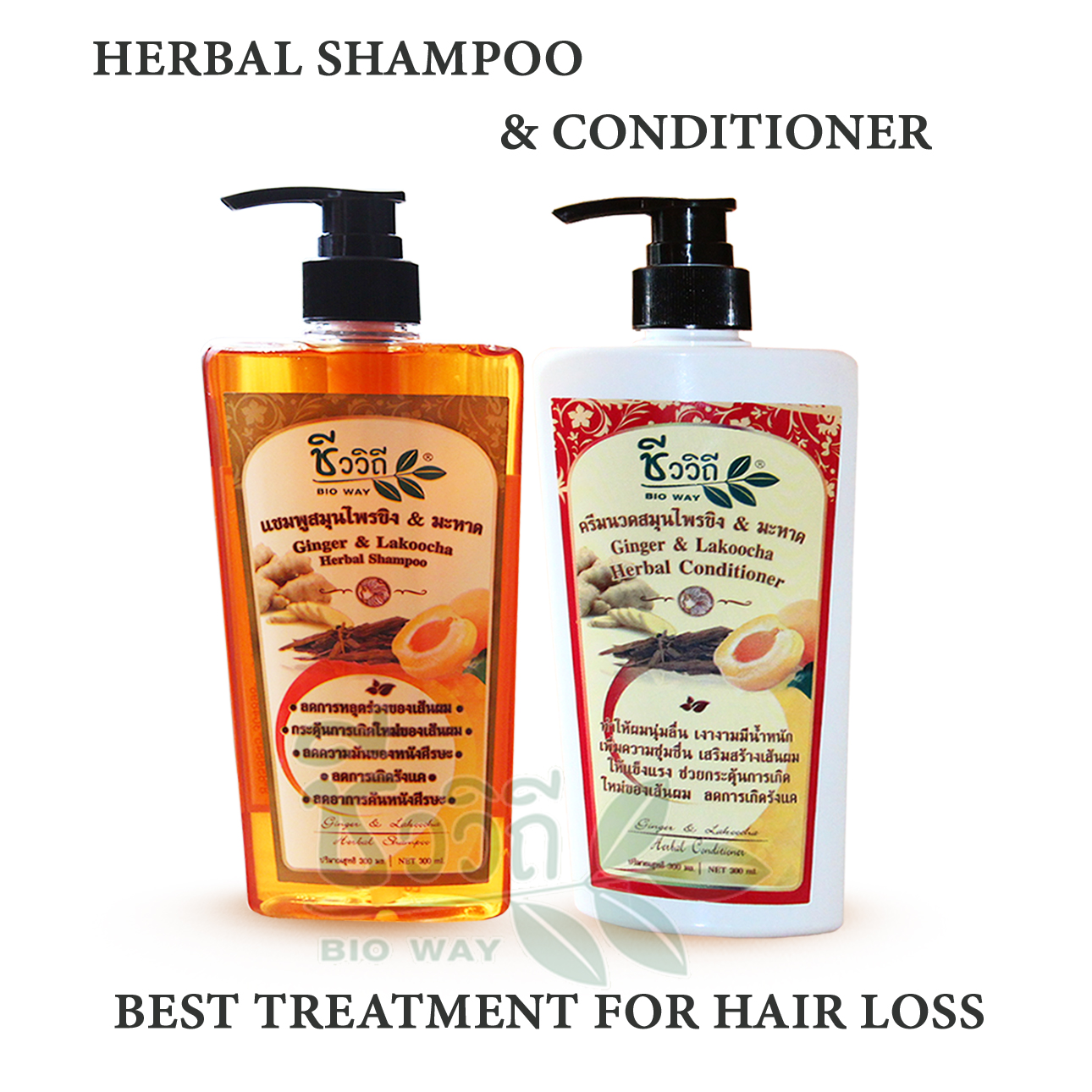 new Organic Anti Hair Loss / Fast Growth Shampoo & Conditioner for